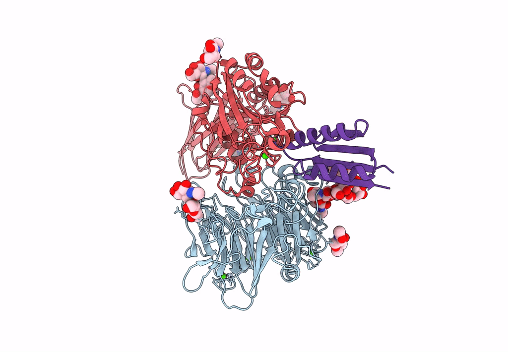 8TCF image