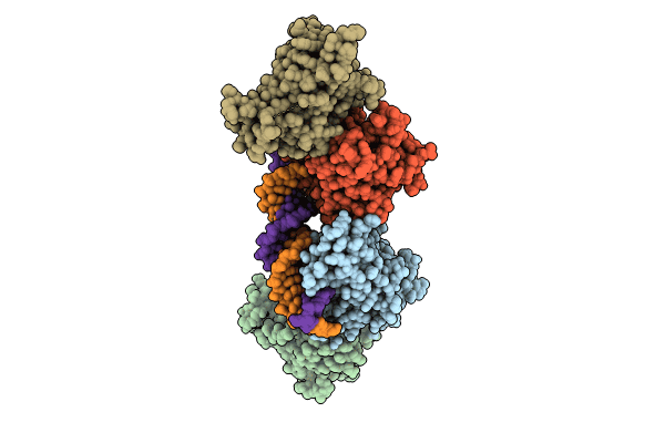 8TCI image