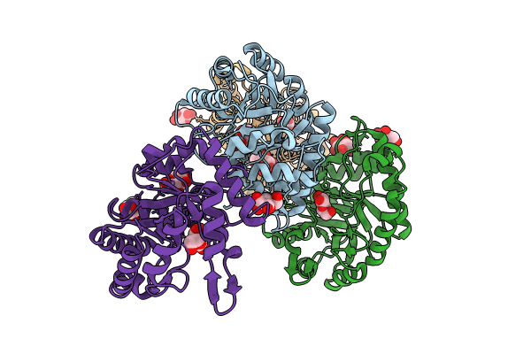 8TCR image