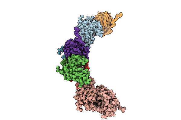 8TDR image