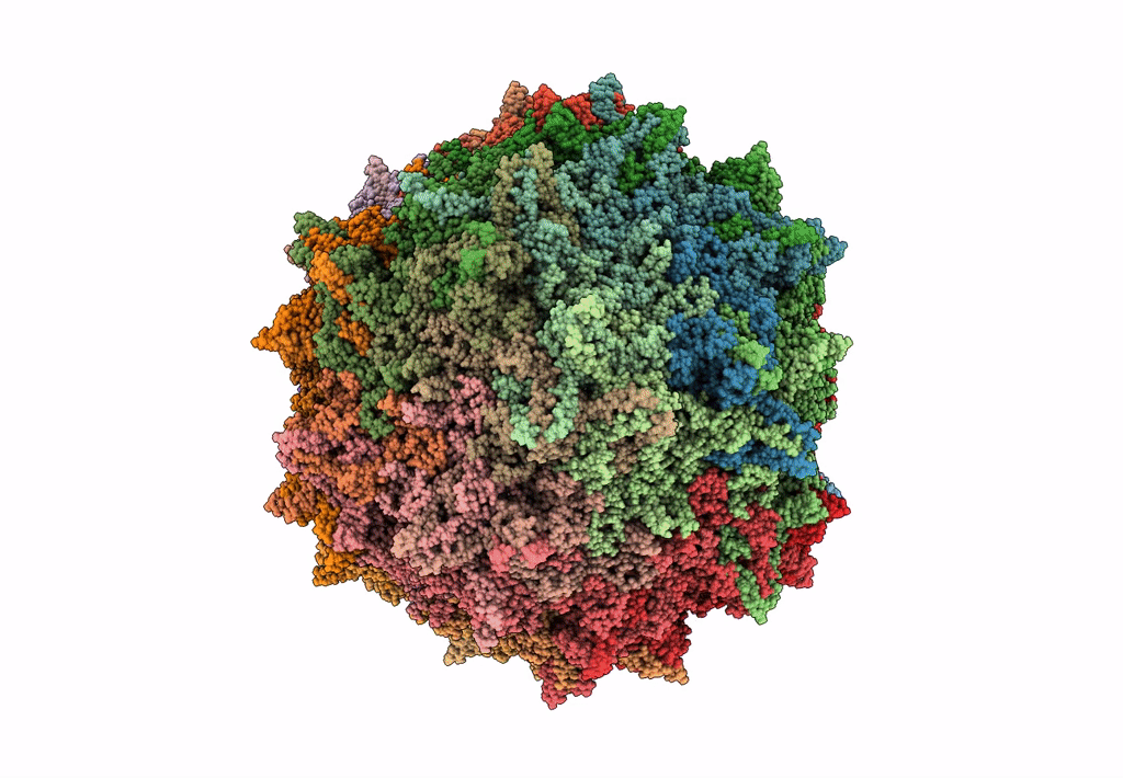 8TEX image