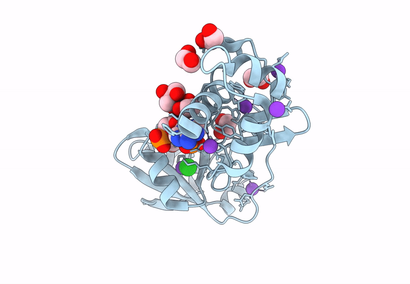 8TFX image