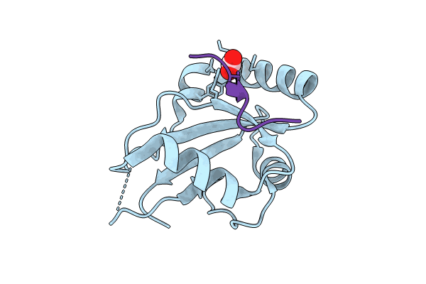 8TGF image