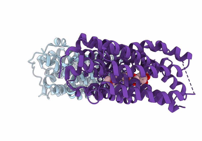 8TGJ image