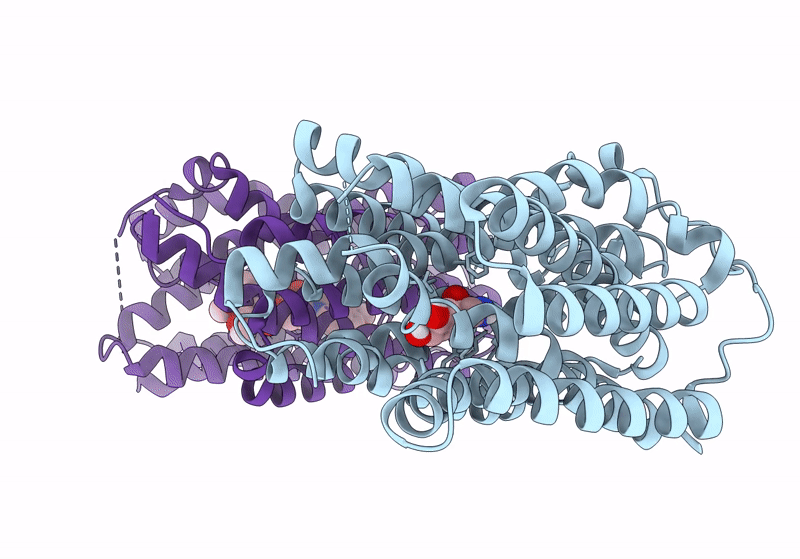 8TGL image