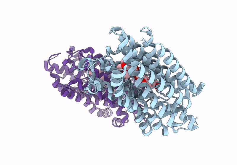 8TGM image