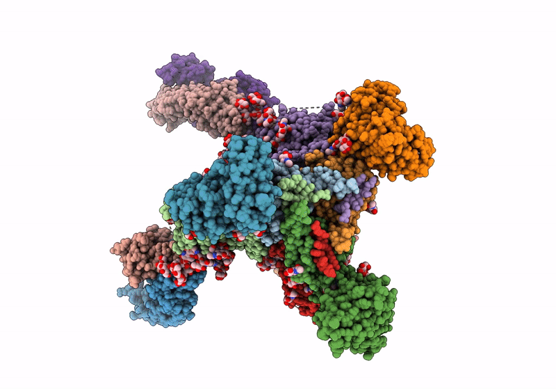 8TGO image
