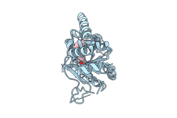 8TGP image
