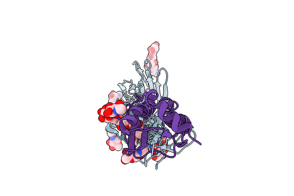8TJ8 image