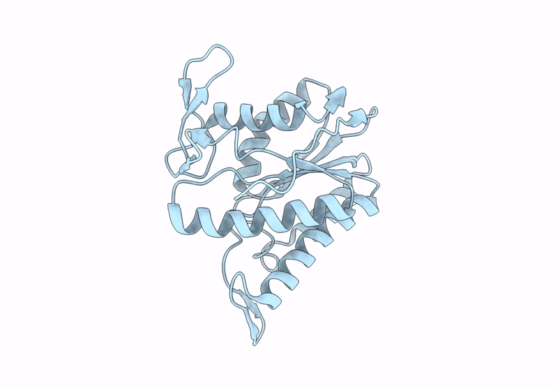 8TLB image