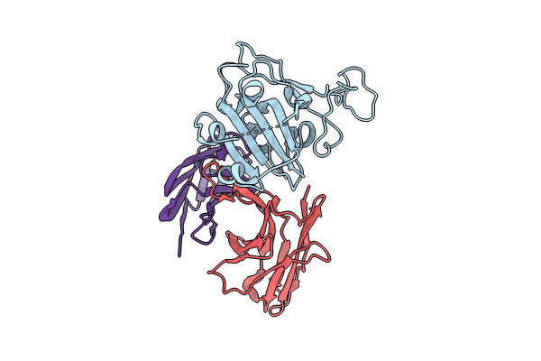 8TMA image