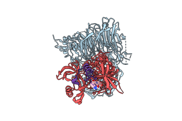 8TNP image