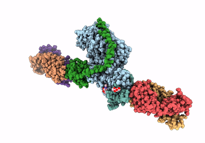 8TNT image