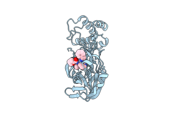 8TPD image
