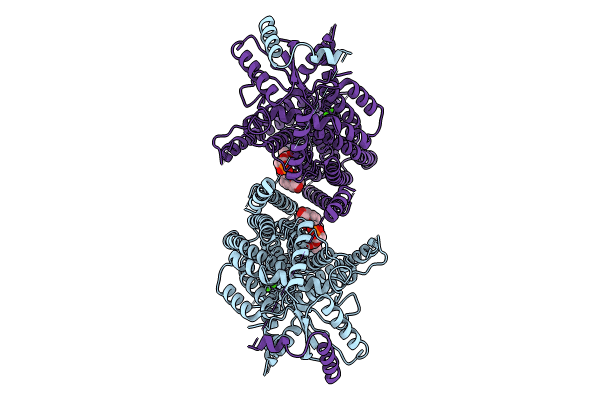 8TPQ image