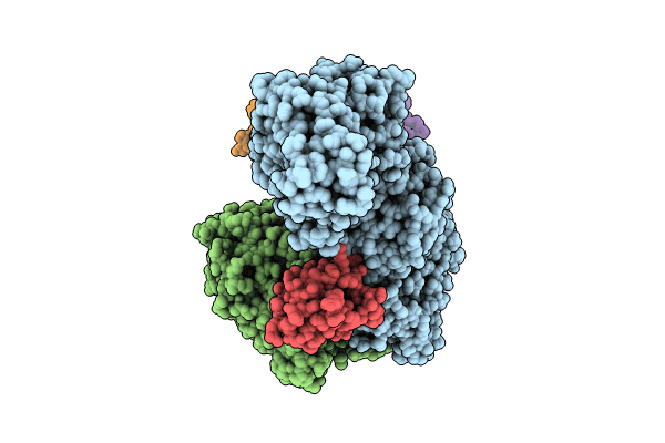 8TPX image