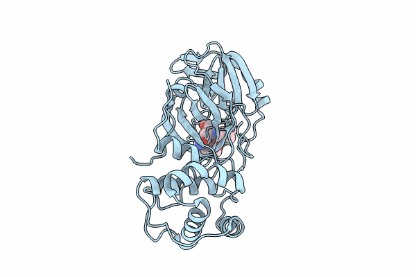 8TQJ image