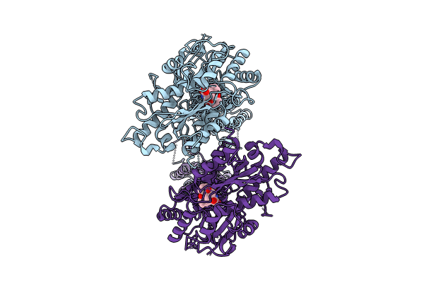 8TRD image