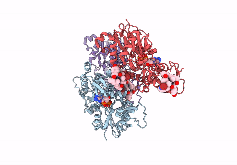 8TRN image