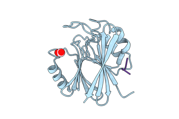 8TTD image