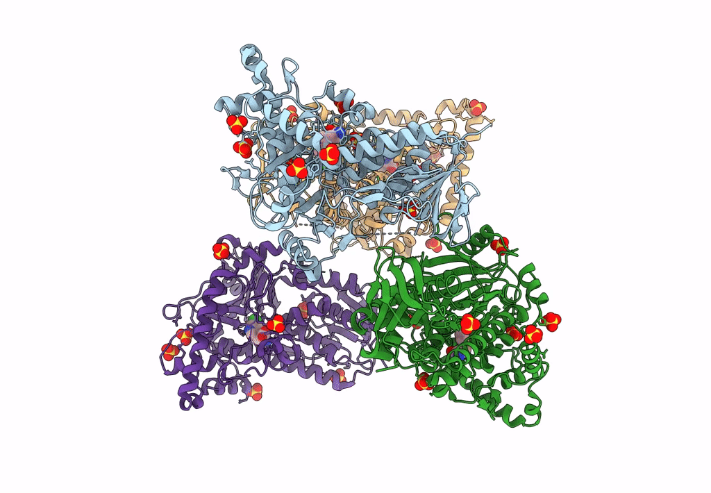 8TTJ image