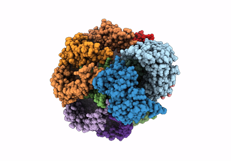 8TUN image