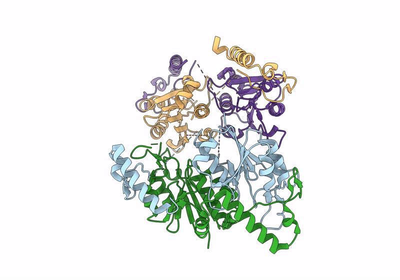 8TXA image
