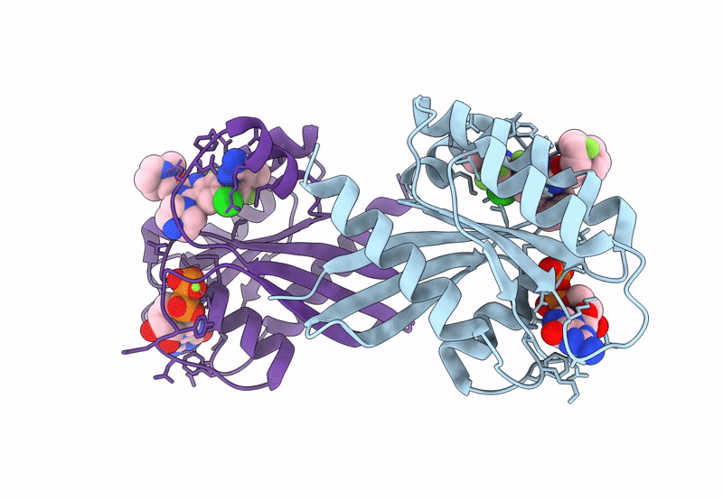 8TXE image