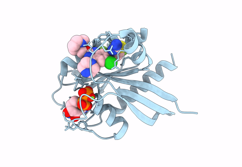 8TXG image