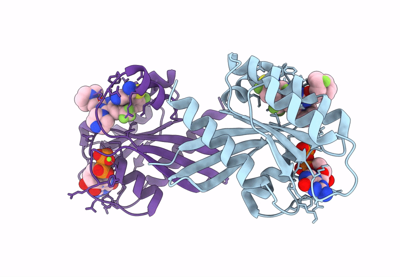 8TXH image