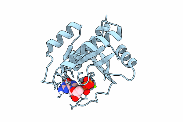 8TXJ image
