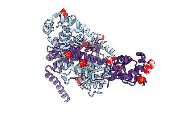 8TXL image
