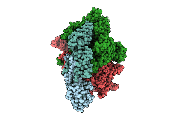 8TXO image