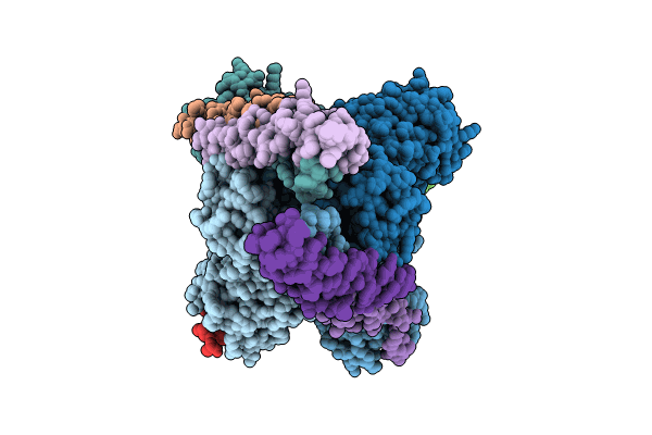 8TXR image