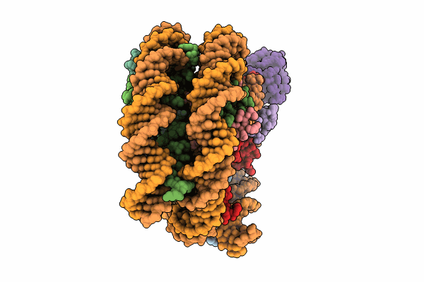 8TXV image