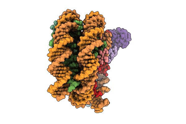 8TXW image
