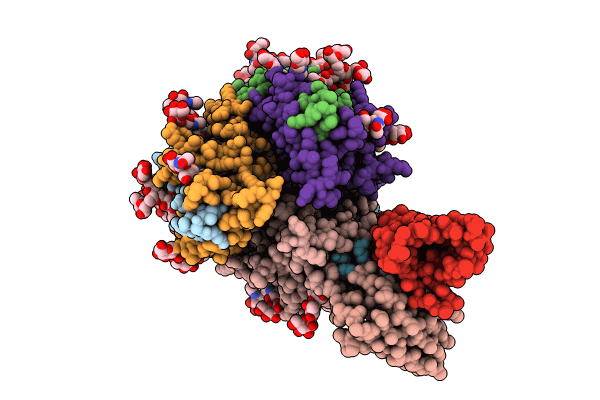 8TYC image