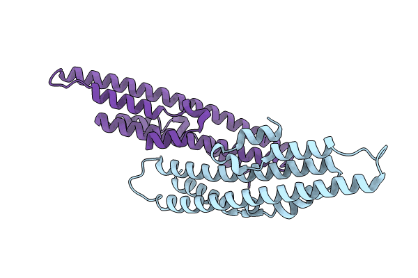 8TYU image