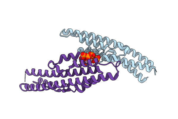 8TYV image