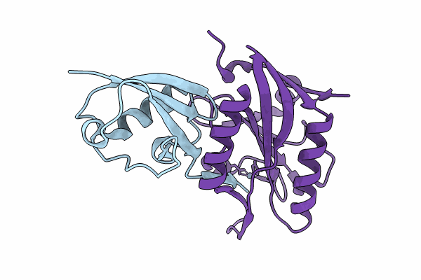 8TYX image