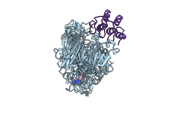 8TZB image