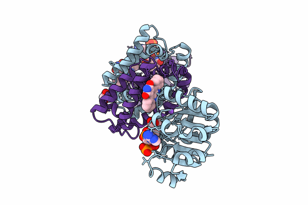 8U07 image
