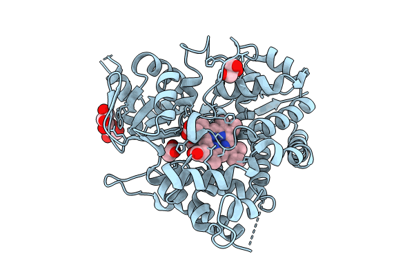 8U09 image