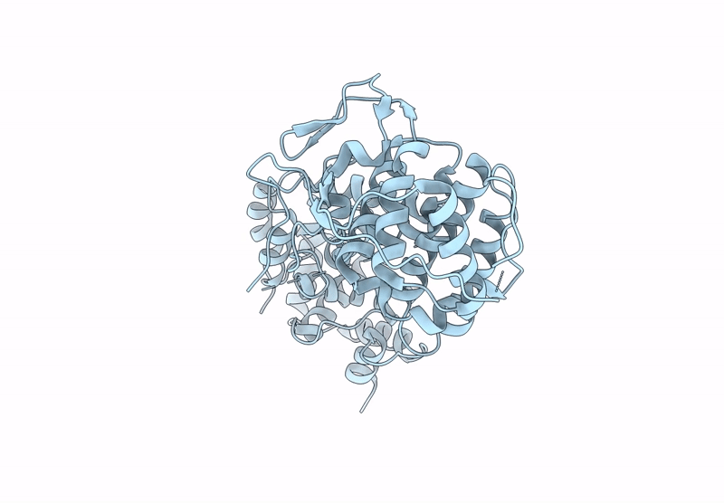 8U0A image