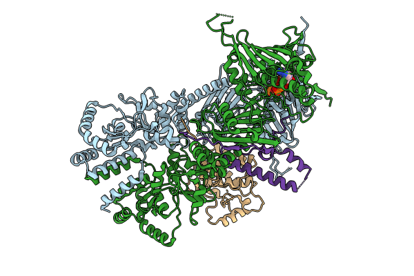 8U1L image