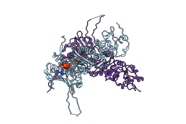 8U1N image