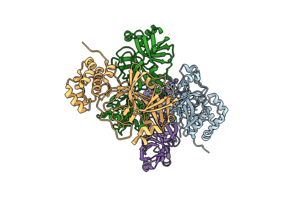 8U25 image