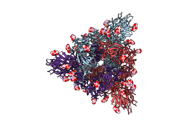 8U28 image