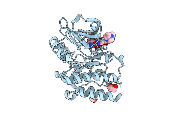 8U2E image