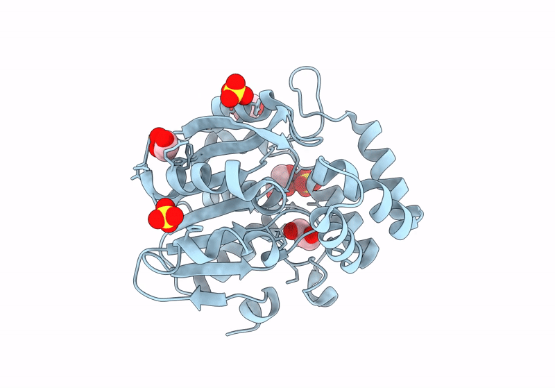 8U2L image